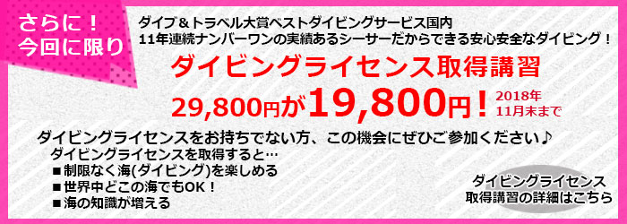 今だけ、講習が通常より１万円引き