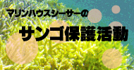 サンゴ保護活動「イキイキサンゴ大作戦」