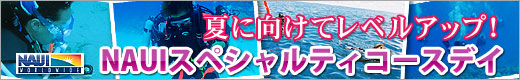 NAUIスペシャルティコース