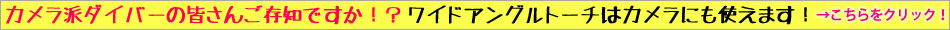 圧倒的に売れる水中ライト！