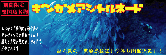 シーサー那覇店企画
