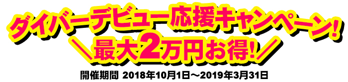 2.5日間でダイビングライセンスが取れるコース！