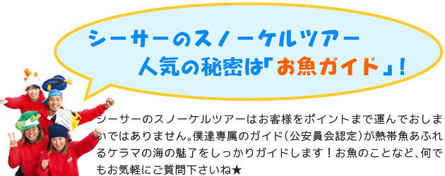 シーサー那覇店のスノーケルツアー、人気の秘密は「お魚ガイド」!