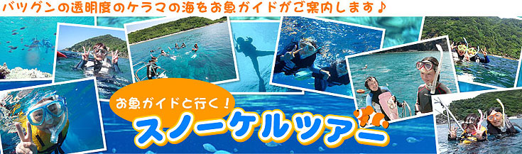 バツグンの透明度の慶良間の海を「お魚ガイド」がご案内します!