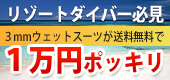 3mmウェットスーツが１万円