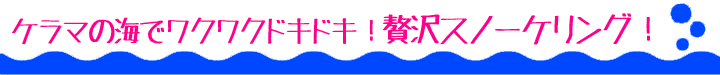 慶良間の海でワクワクドキドキ！贅沢スノーケリング！