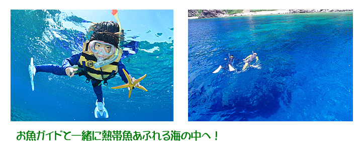 お魚ガイドと一緒に海の中へ