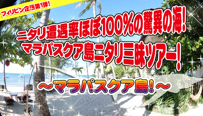 ニタリ遭遇率ほぼ１００％の驚異の海！マラパスクア島！