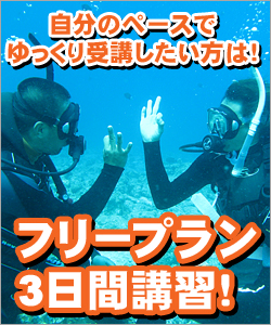 自分のペースで受講できるダイビングライセンスフリープランコース！