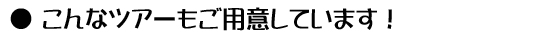 他のツアーもご用意しています