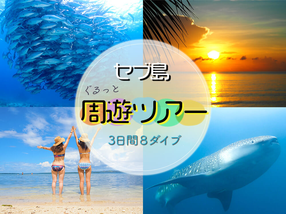 セブ島周遊ダイビングツアー 3日間8ダイブ