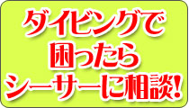 ダイビングで困ったらご相談ください