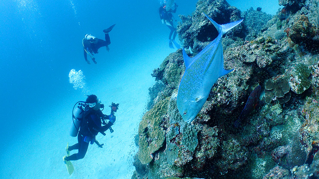 fun diving at the kerama islands in Okinawa