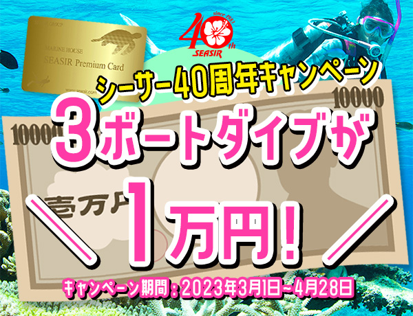 シーサー春キャンペーン