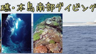 ルカン礁ダイビング
