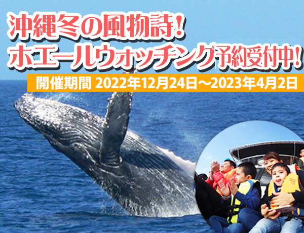 沖縄ホエールウォッチング