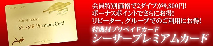 お得過ぎるプリペイドカードプレミアムカード:バナー