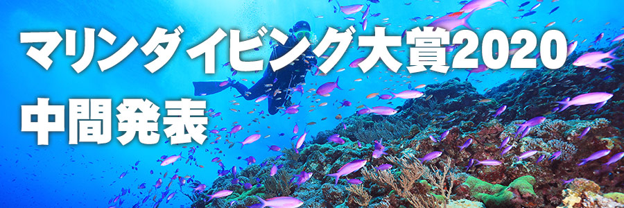 中間発表